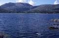 0054_kfp_k01_2538