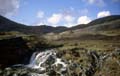 0061_kfp_k01_2495