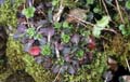 0104_kfp_k02_2611