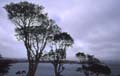 0107_kfp_k02_2565