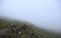 0167_kfp_k02_2595