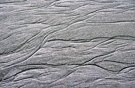 0227_kfp_k03_2673