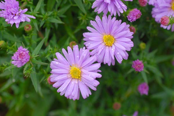 350__10d_0025_673