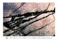 01_Jan_File0533