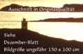 12_Dez_File0546_Ausschnitt_Originalqualität